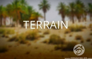 V 111 -                            بيع
                           Terrain Djerba
